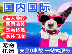 唐山国际宠物托运 【国